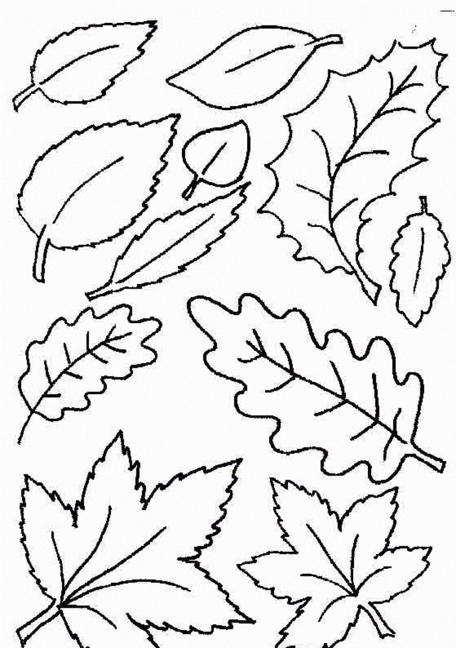 028 Template Ideas Free Printable Leaf Best Fall Leaves Coloring - Free Printable Leaf Coloring Pages