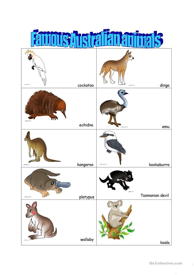 14 Free Esl Australian Animals Worksheets - Free Printable Pictures Of Australian Animals
