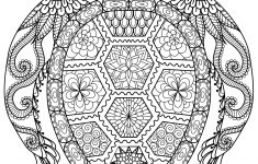 Free Printable Summer Coloring Pages For Adults