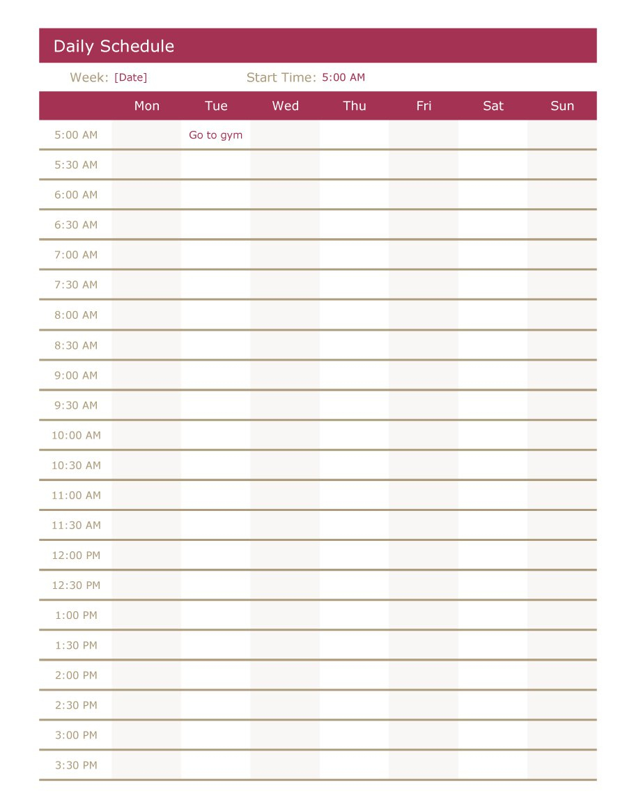 40+ Printable Daily Planner Templates (Free) - Template Lab - Free Printable Daily Schedule
