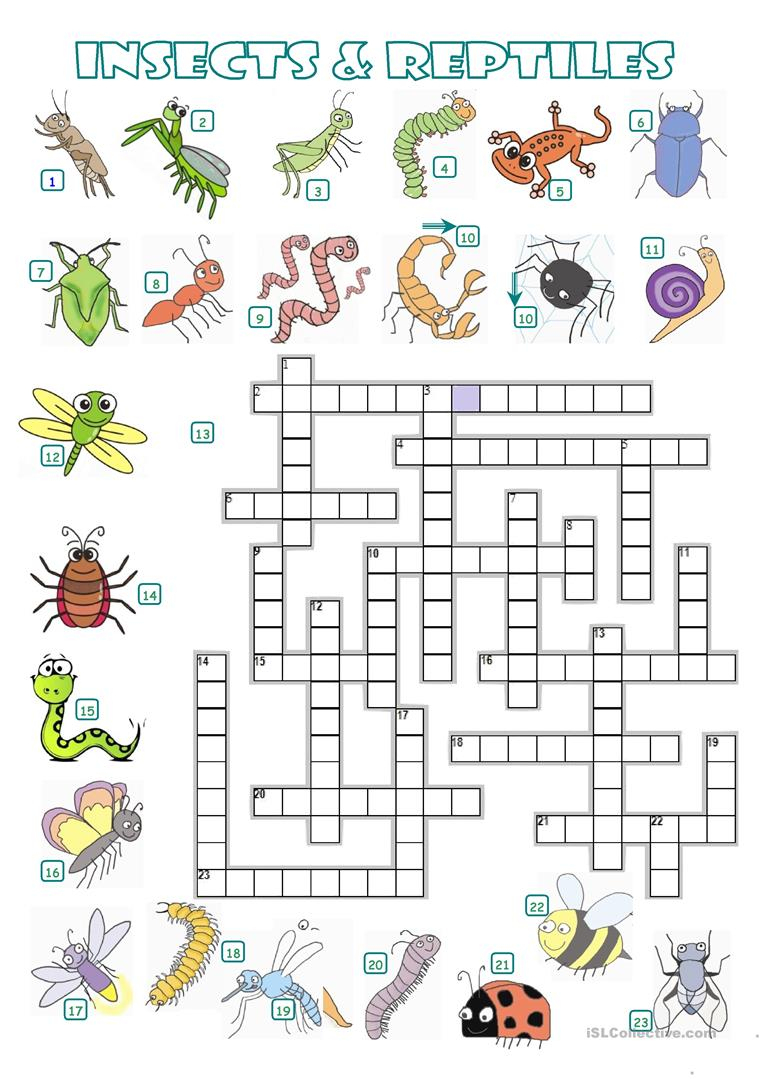 5 Free Esl Reptiles Worksheets - Free Printable Reptile Worksheets