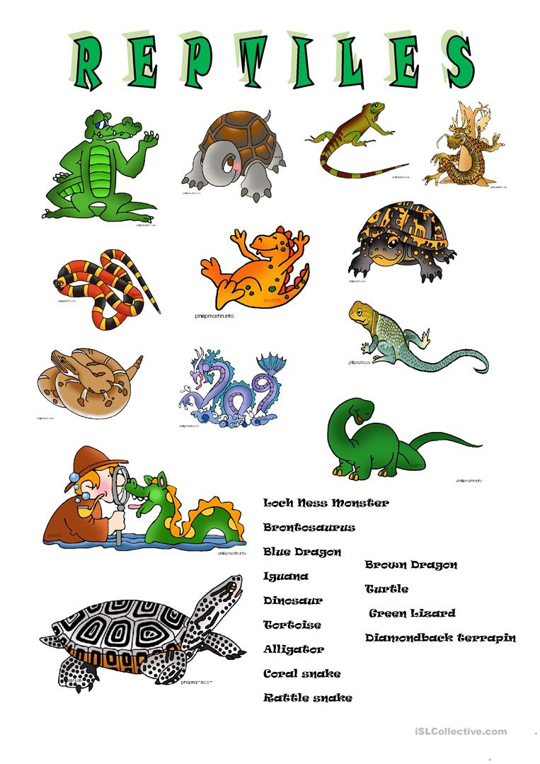 5 Free Esl Reptiles Worksheets - Free Printable Reptile Worksheets