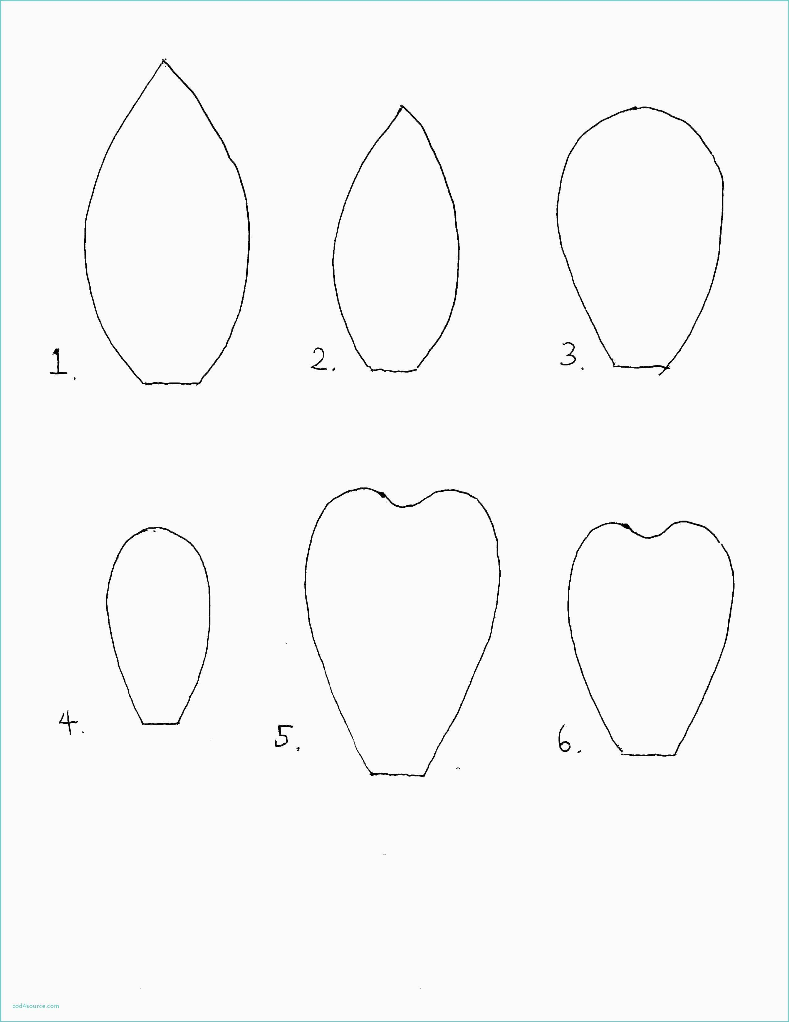 5 Petal Flower Template Printable - Happy Living - 5 Petal Flower Template Free Printable