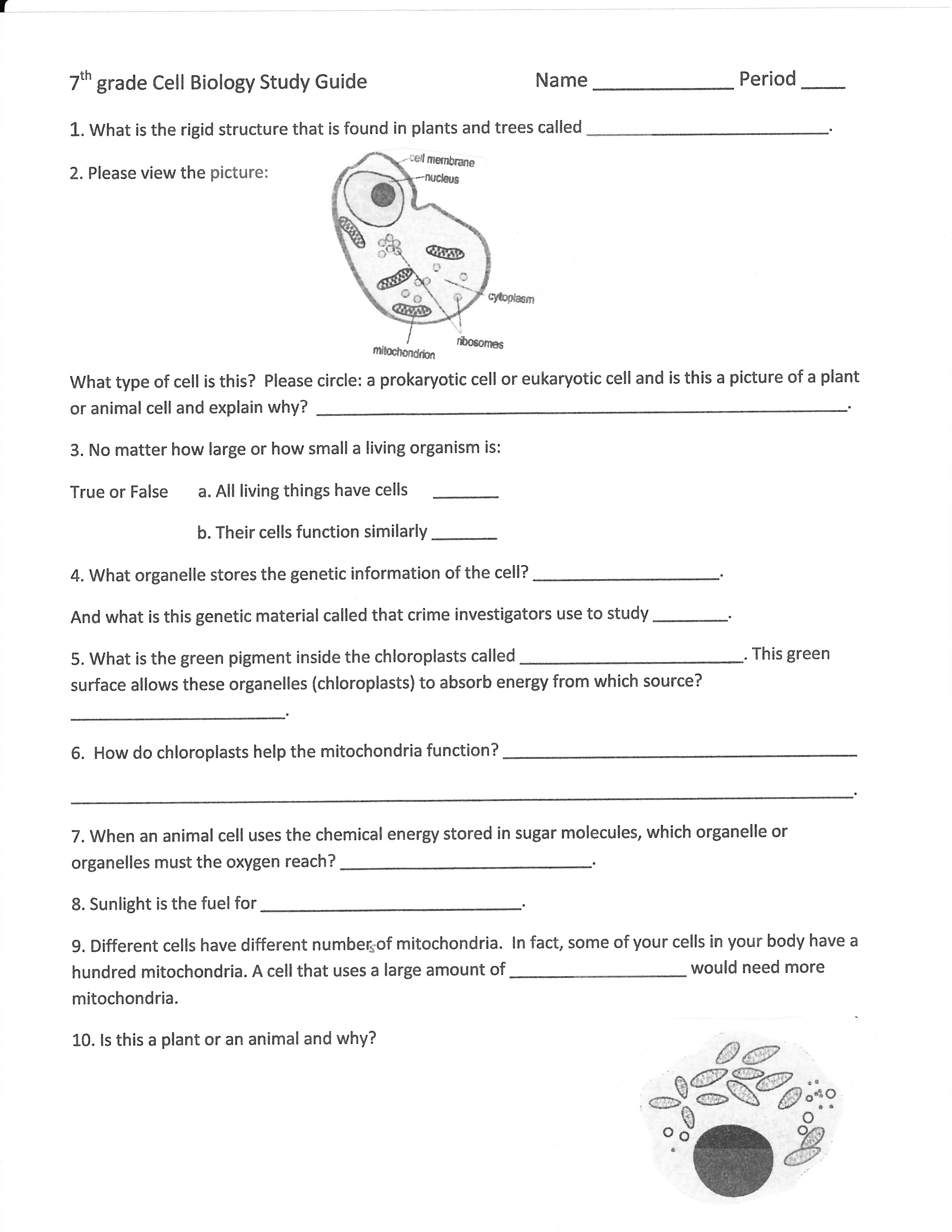 9Th Grade Science Worksheets Worksheets 10Th Grade Biology - 9Th Grade Science Worksheets Free Printable