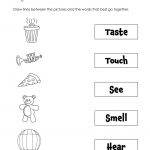 A Collection Of Printables That Are Useful For Everyday Classroom   Free Printable Worksheets Kindergarten Five Senses