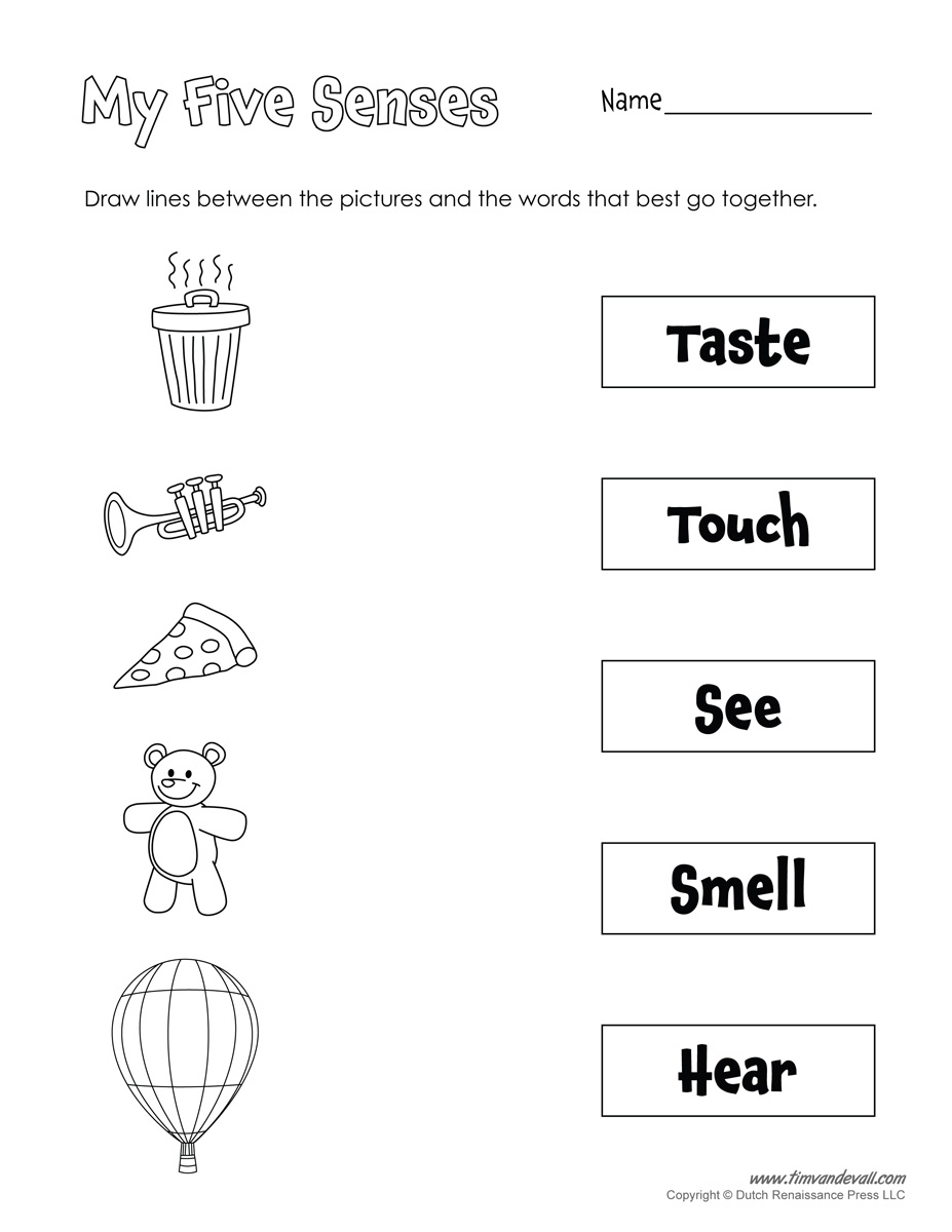 A Collection Of Printables That Are Useful For Everyday Classroom - Free Printable Worksheets Kindergarten Five Senses