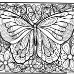 Adult Difficult Big Butterfly Coloring Pages Printable   Free Printable Butterfly Coloring Pages