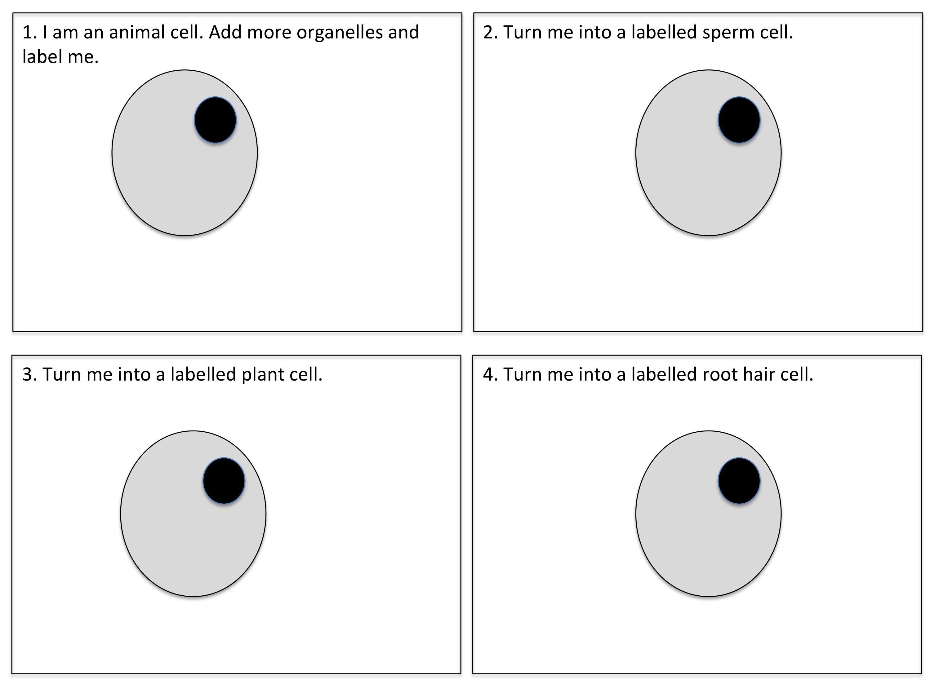 Animal And Plant Cell Worksheets Printable Free Worksheets Library - Free Printable Cell Worksheets