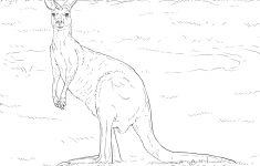 Free Printable Pictures Of Australian Animals