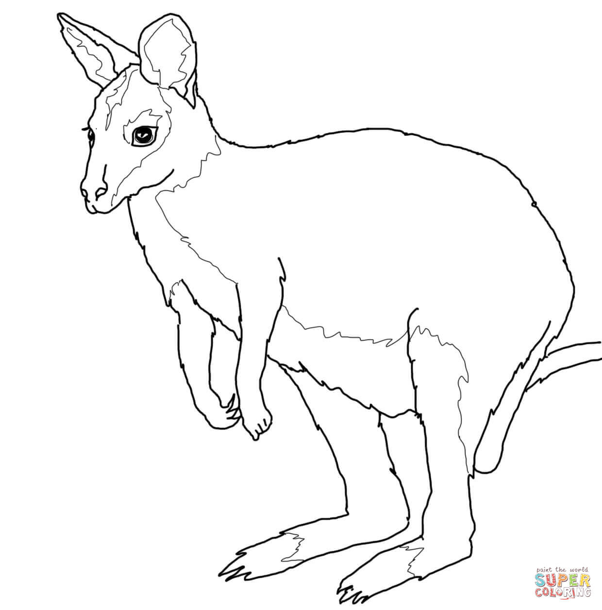 Australian Animals Coloring Pages | Free Printable Pictures - Free Printable Pictures Of Australian Animals