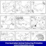 Australian Animals Colouring Pages | Australia | Pinterest   Free Printable Australian Animals