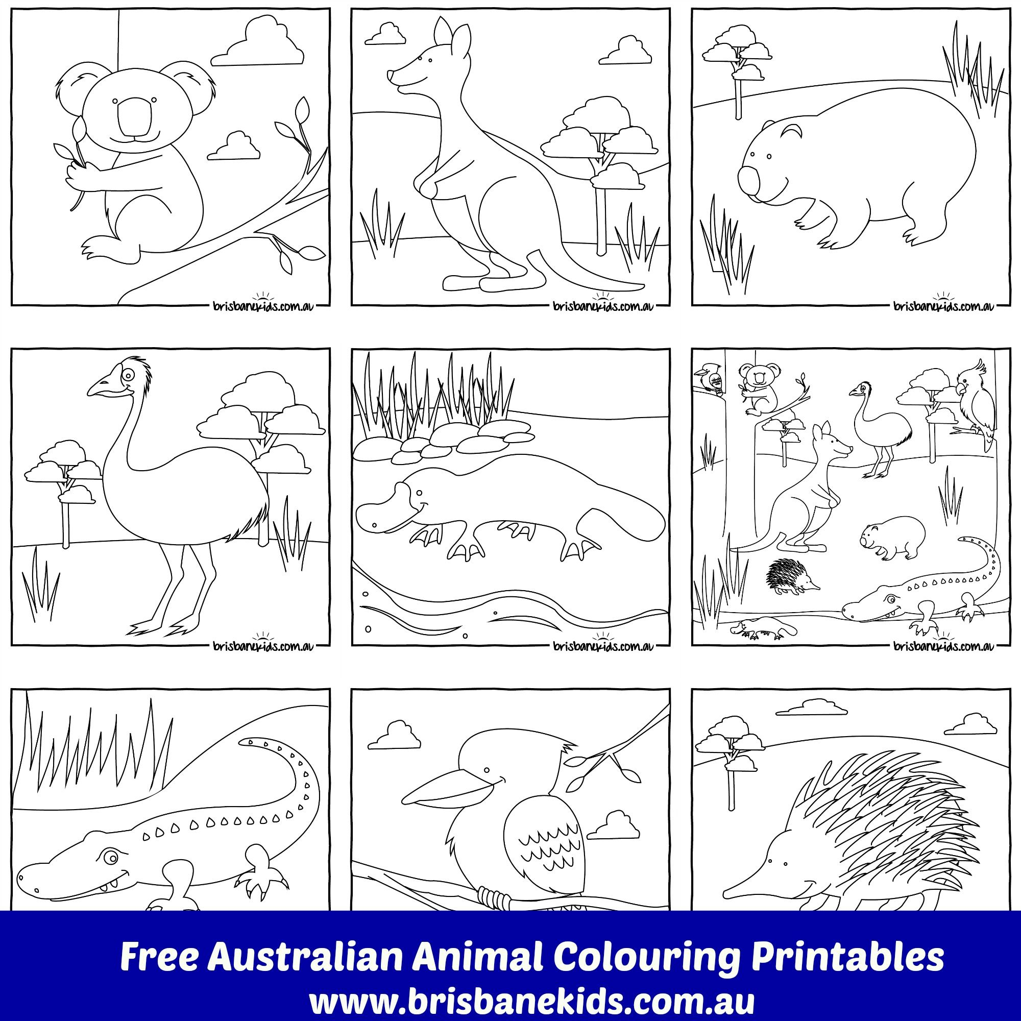 Australian Animals Colouring Pages | Australia | Pinterest - Free Printable Australian Animals