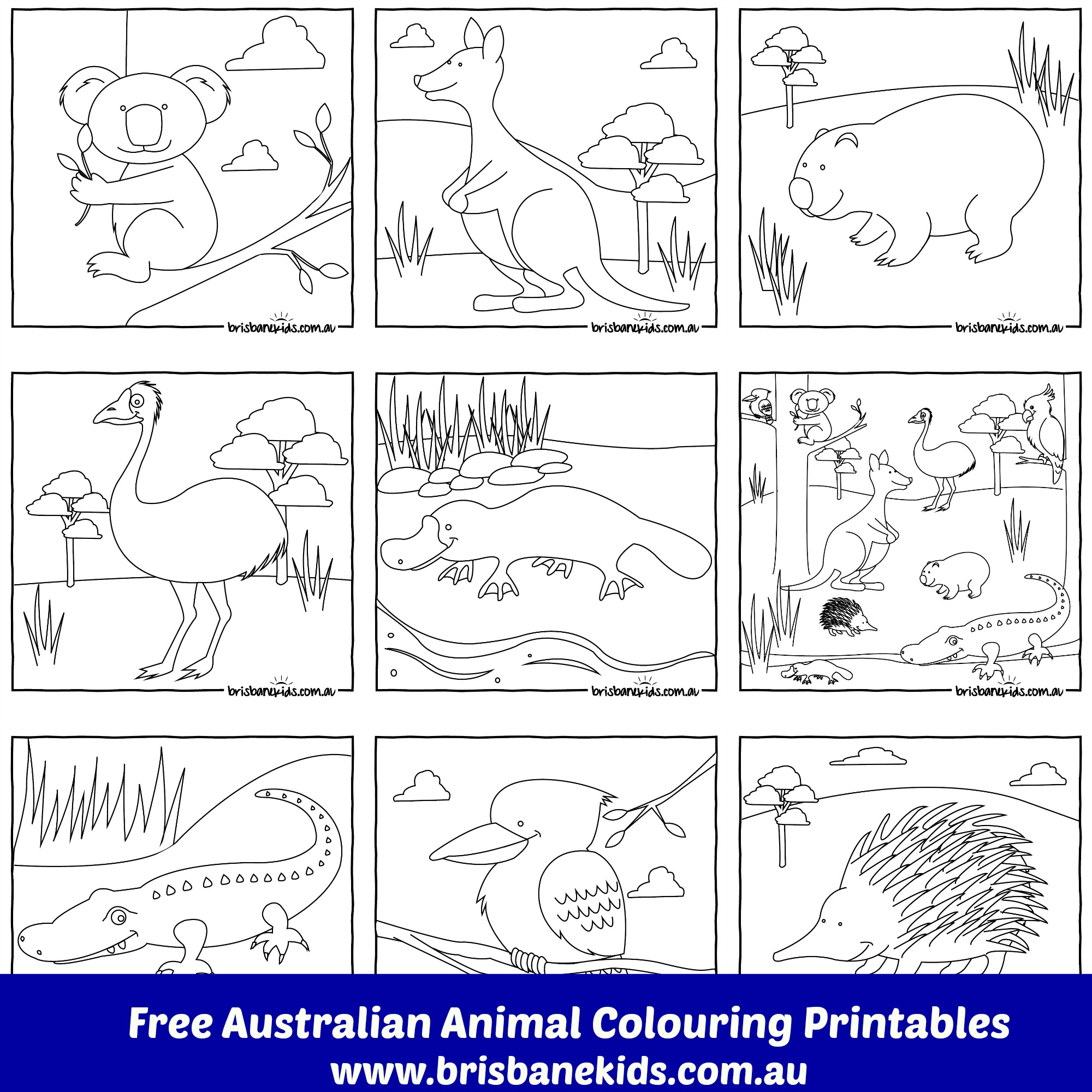 Australian Animals Colouring Pages | Brisbane Kids - Free Printable Pictures Of Australian Animals