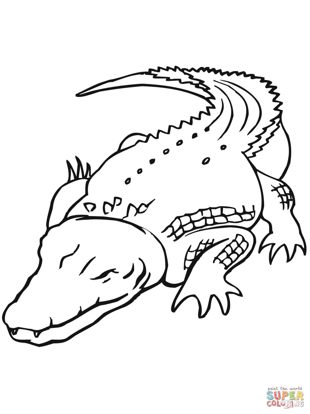 Australian Saltwater Crocodile Coloring Page | Free Printable - Free Printable Pictures Of Crocodiles