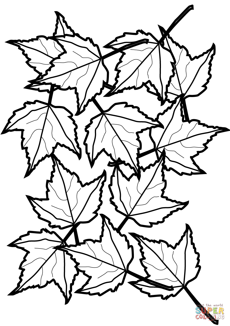 Autumn Maple Leaves Coloring Page | Free Printable Coloring Pages - Free Printable Fall Leaves Coloring Pages