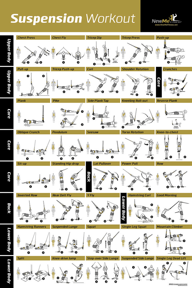 suspension trx workouts pdf fat burn