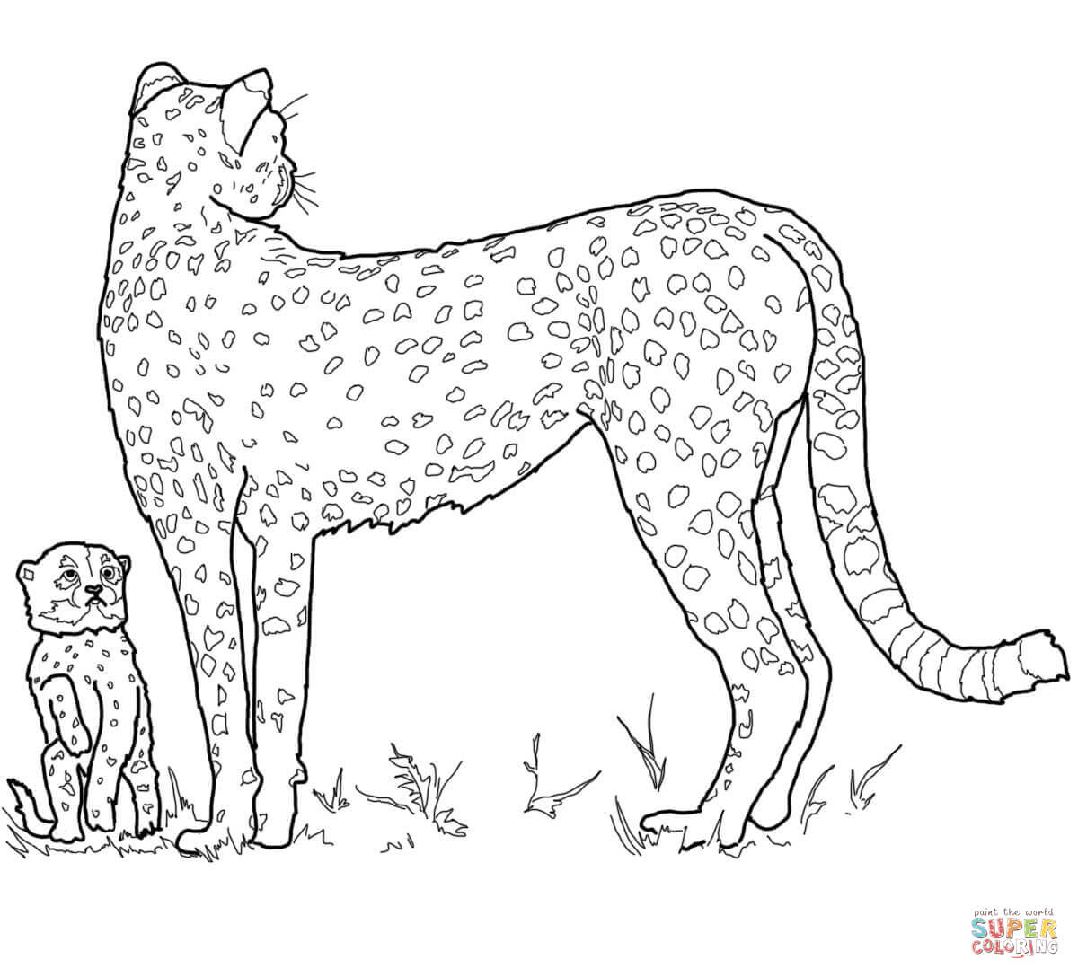 Baby Cheetah And Mother Coloring Page | Free Printable Coloring Pages - Free Printable Cheetah Pictures