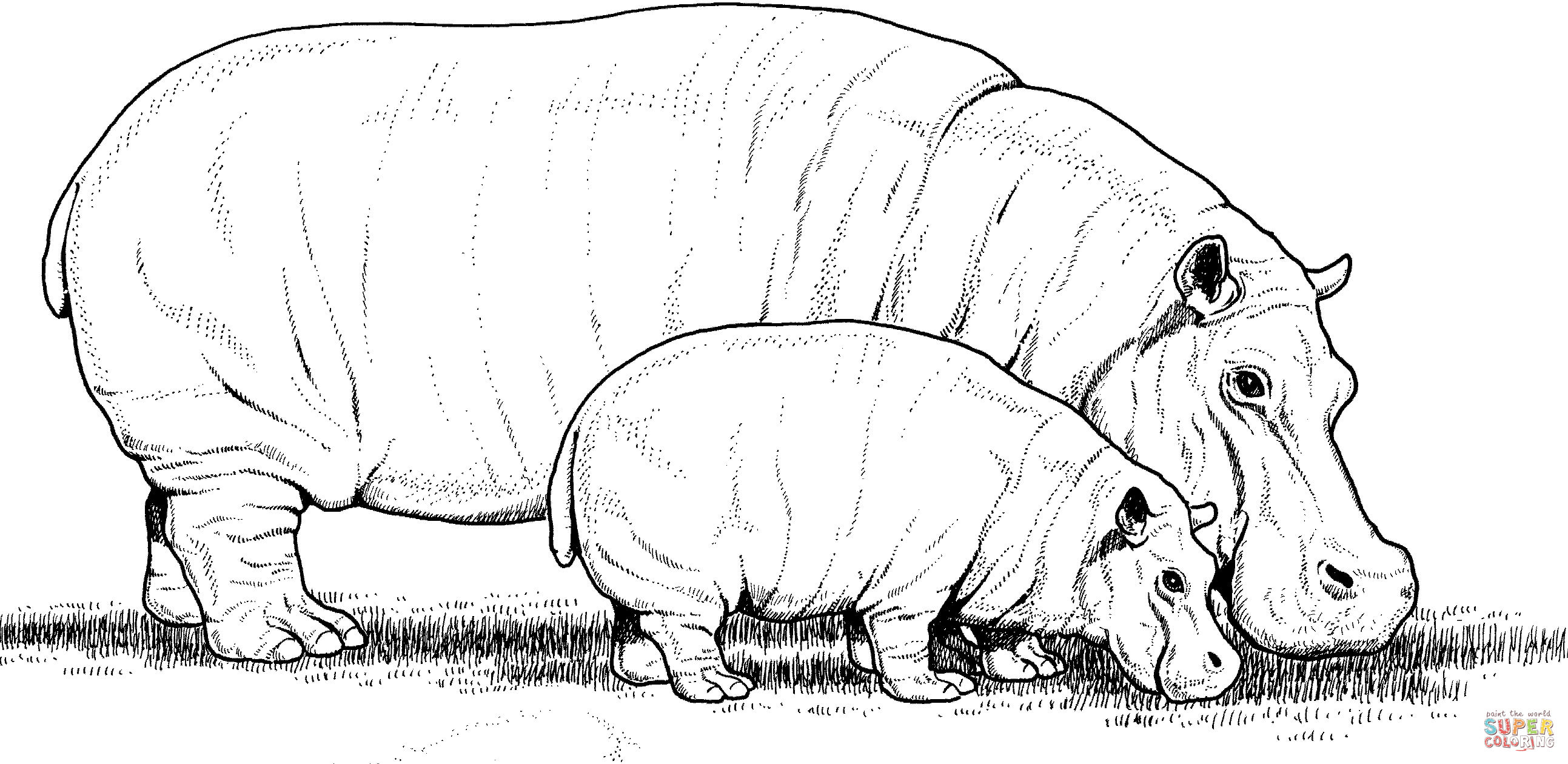 Baby Hippo With Mother Coloring Page | Free Printable Coloring Pages - Free Printable Hippo Coloring Pages
