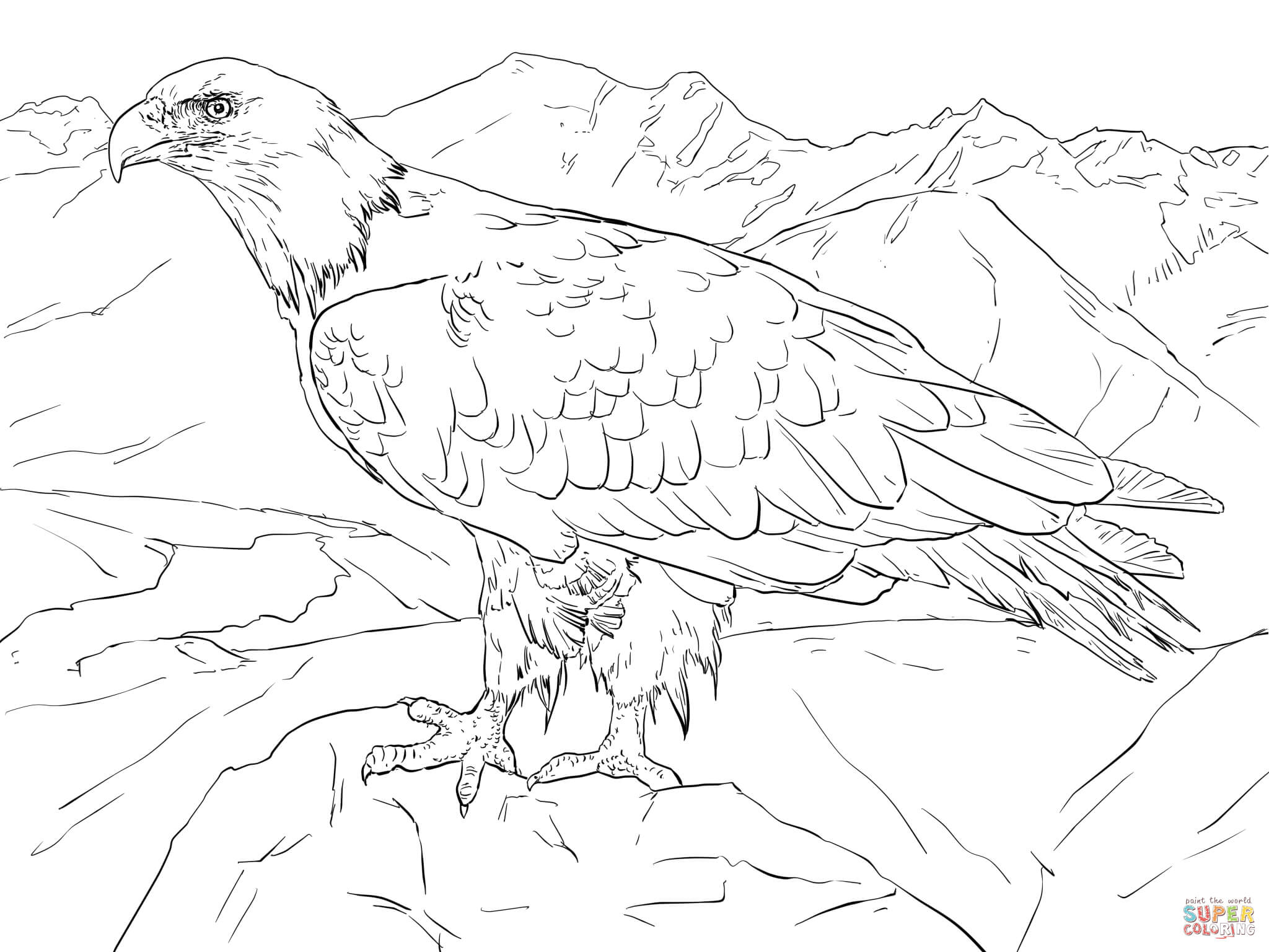 Bald Eagle From Alaska Coloring Page | Free Printable Coloring Pages - Free Printable Pictures Of Alaska