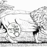 Beautiful Lion Animal Coloring Page For Kids, Animal Coloring Pages   Free Printable Picture Of A Lion