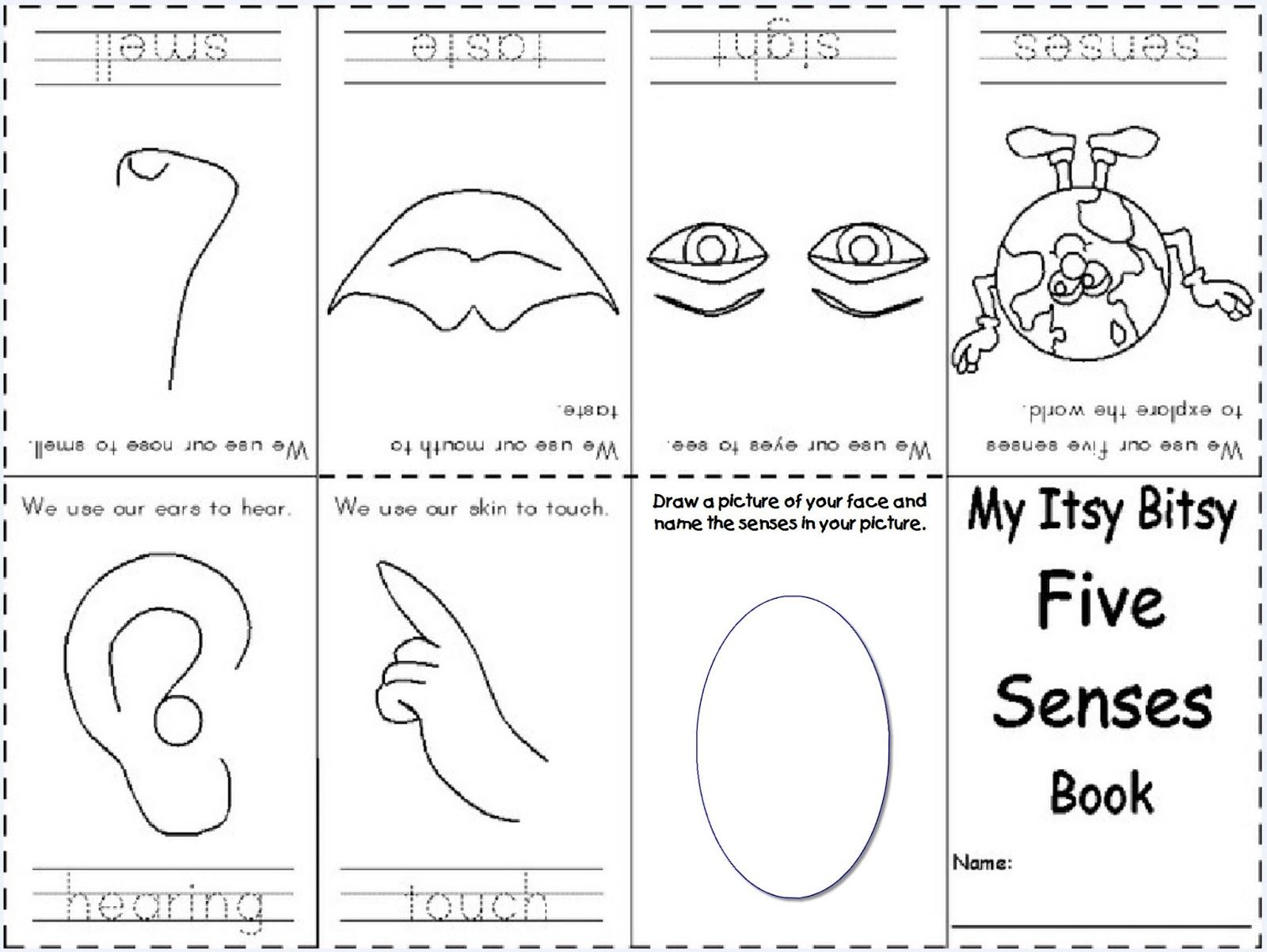 Best Photos Of Free Five Senses Printable - Preschool Five Senses - Free Printable Worksheets Kindergarten Five Senses