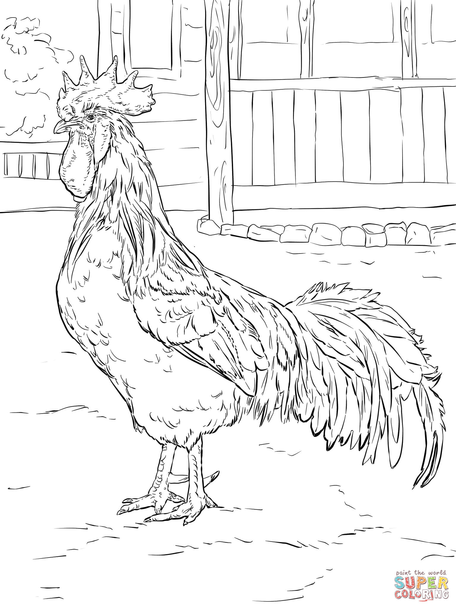 Brown Leghorn Rooster Coloring Page | Free Printable Coloring Pages - Free Printable Pictures Of Roosters