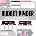 Budget Binder Printables   Single Moms Income   Free Printable Financial Binder