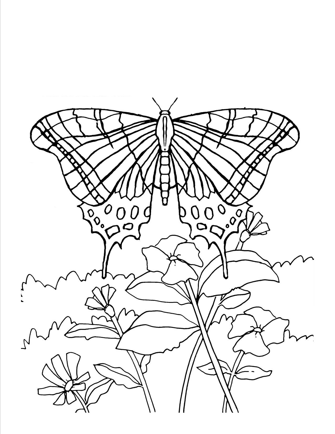 Butterfly Coloring Pages Games New Free Printable Butterfly Coloring - Free Printable Butterfly Coloring Pages