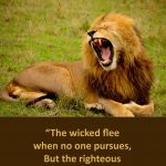 Christian Sports Posters 1 | Religious | Pinterest | Animals, Lion   Free Printable Sports Posters