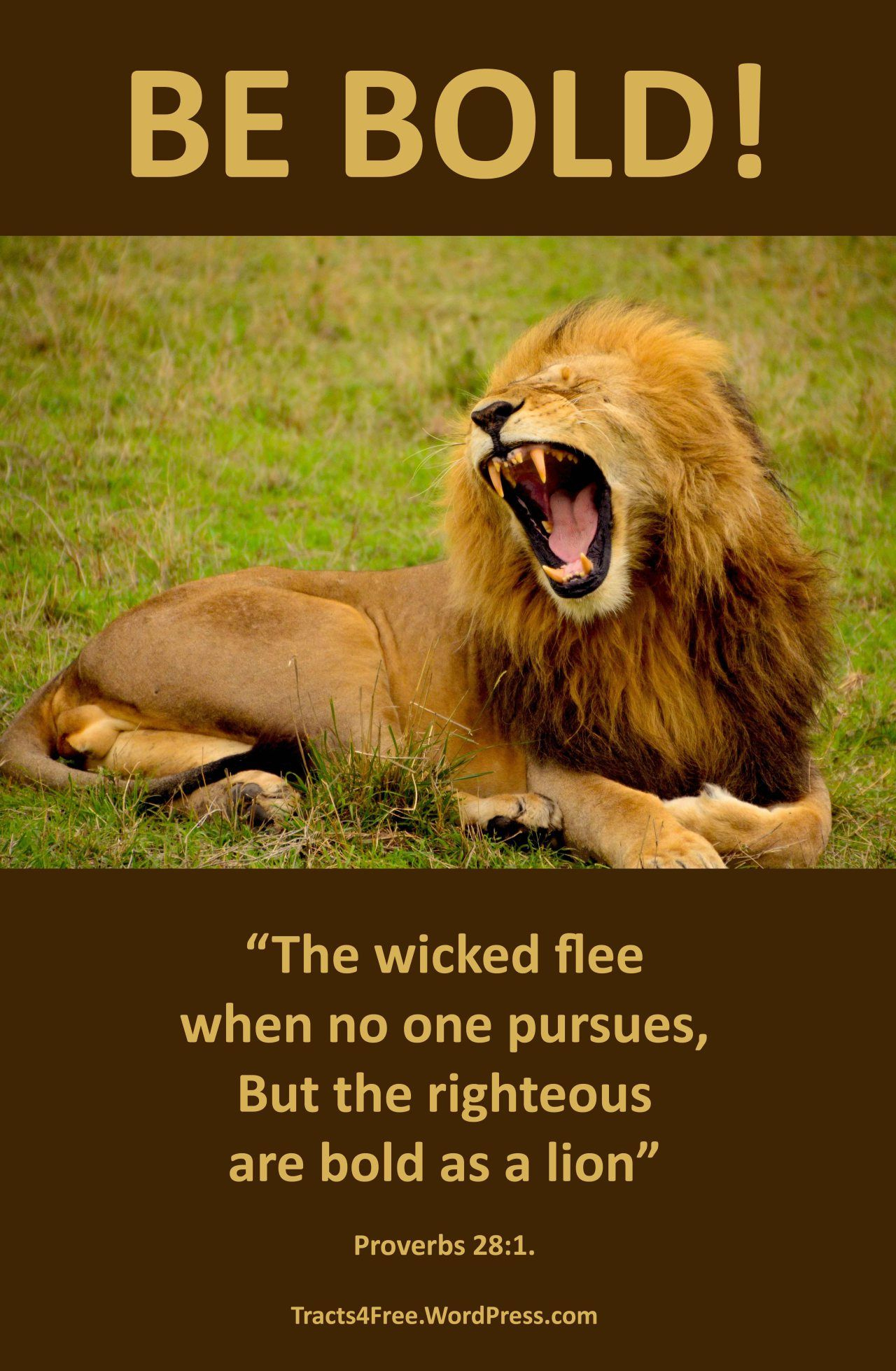 Christian Sports Posters 1 | Religious | Pinterest | Animals, Lion - Free Printable Sports Posters