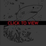 Coloring Book Pictures Of Sharks | Coloring Pages   Free Printable Shark Coloring Pages