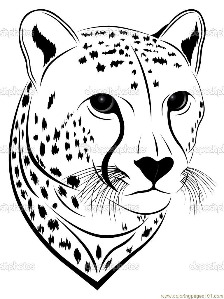 Coloring Pages Cheetah Face (Mammals &amp;gt; Cheetah) - Free Printable - Free Printable Cheetah Pictures