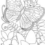 Coloring Pages ~ Coloring Pages Free Printableook Photo Inspirations   Free Printable Coloring Books For Adults
