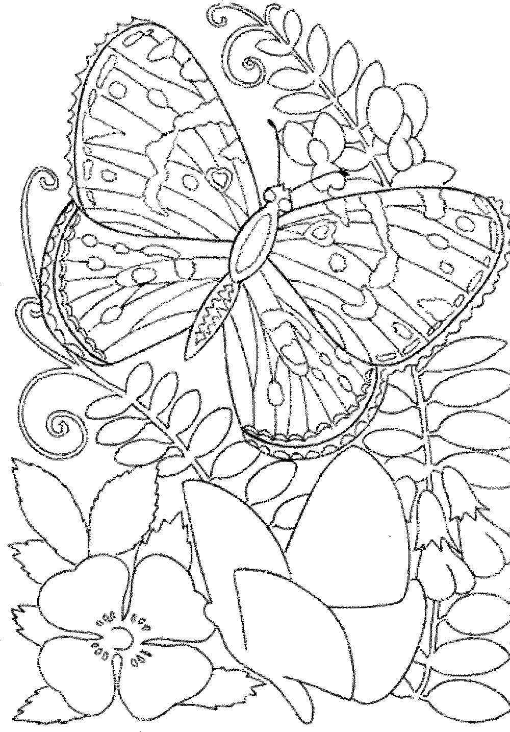 Coloring Pages ~ Coloring Pages Free Printableook Photo Inspirations - Free Printable Coloring Books For Adults