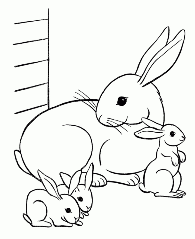 Coloring Pages ~ Cute Baby Animal Coloring Pages Printable In - Free Printable Pictures Of Baby Animals
