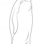 Coloring Pages : Penguins Coloring Pages Free Penguin Sheet Emperor   Free Printable Penguin Books