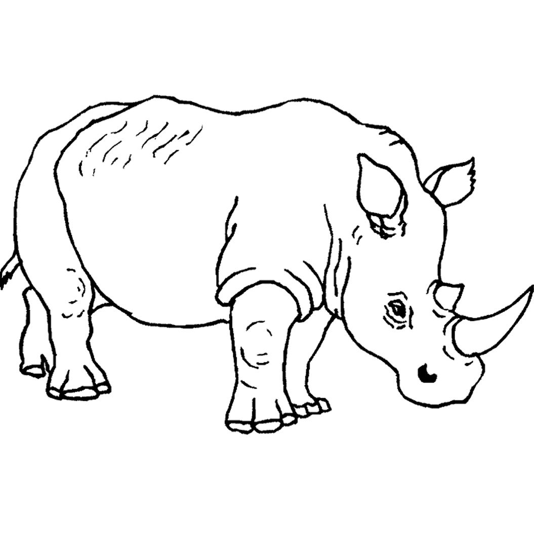 Coloring Pages : Wild Animaloloring Sheets Animals Pages Amazing - Free Printable Wild Animal Coloring Pages