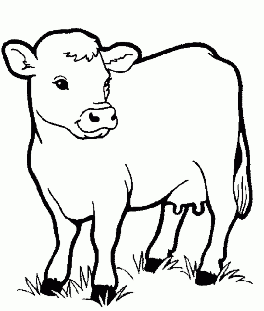 Cow Animals Coloring Pages For Kids ~ Printable Coloring Animal - Coloring Pages Of Cows Free Printable