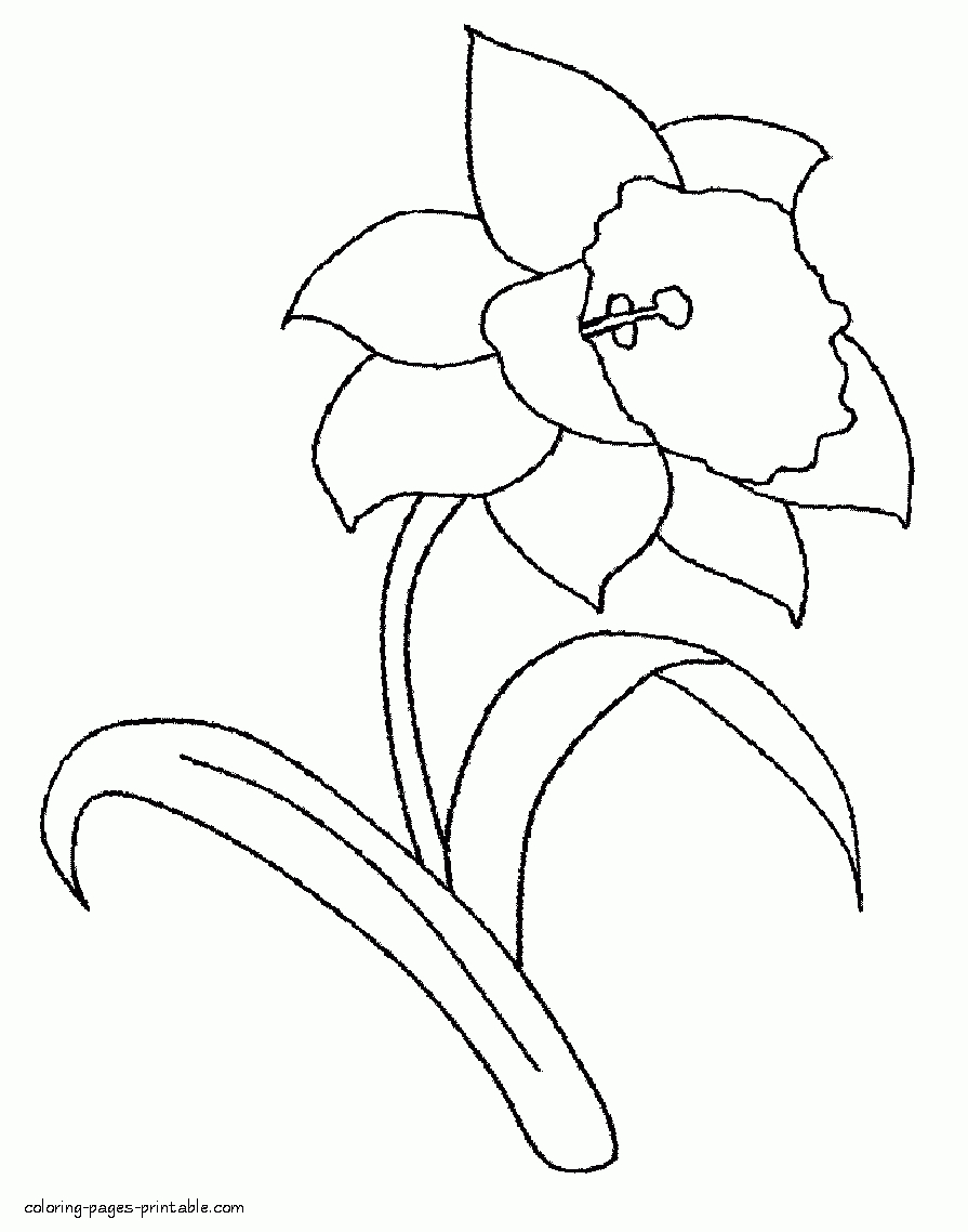 Daffodil Coloring Pages | Clipart Misc | Coloring Pages, Spring - Free Printable Pictures Of Daffodils