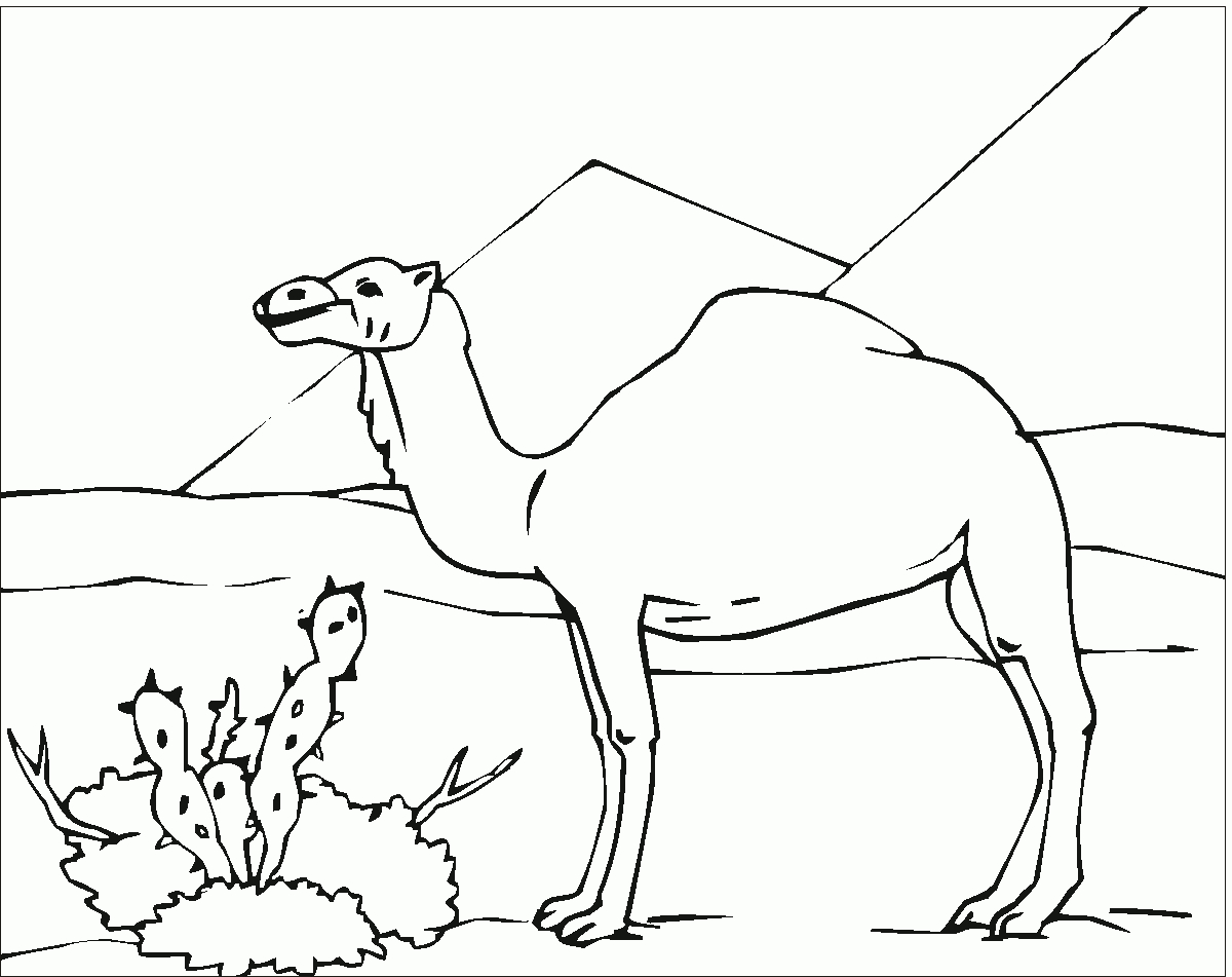 Desenhos De Pirâmides Para Colorir | Art Projects | Coloring Pages - Free Printable Desert Animals