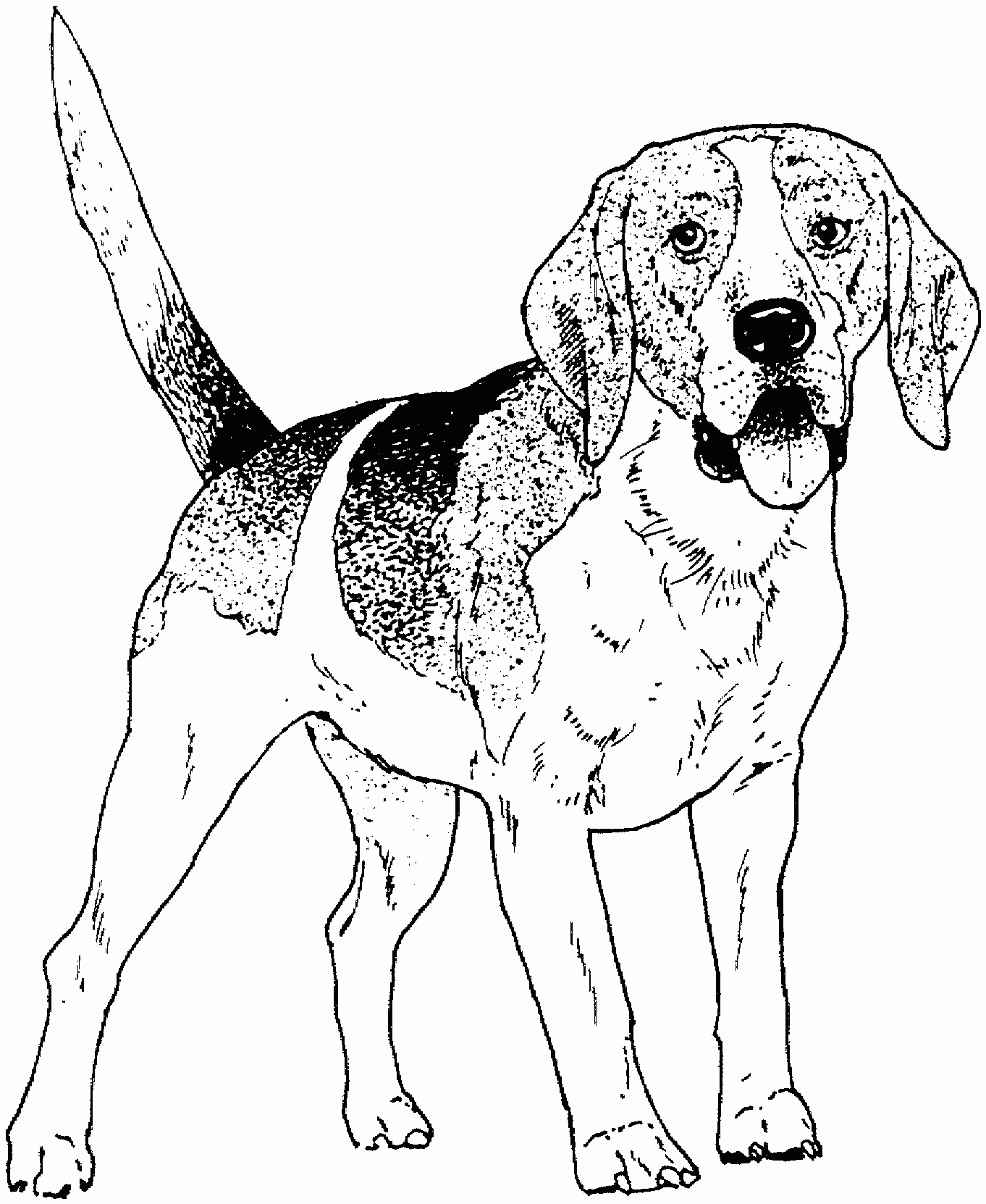 Dog Color Pages Printable | Dog Breed Coloring Pages | Dog Pic | Dog - Free Printable Dog Coloring Pages