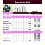 Dog Vaccination Chart Printable   Essaywritesystem   Free Printable Dog Shot Records