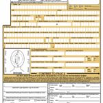 Ds 11 Online Application Form For A New Passport | Passports And   Free Printable Ds 11