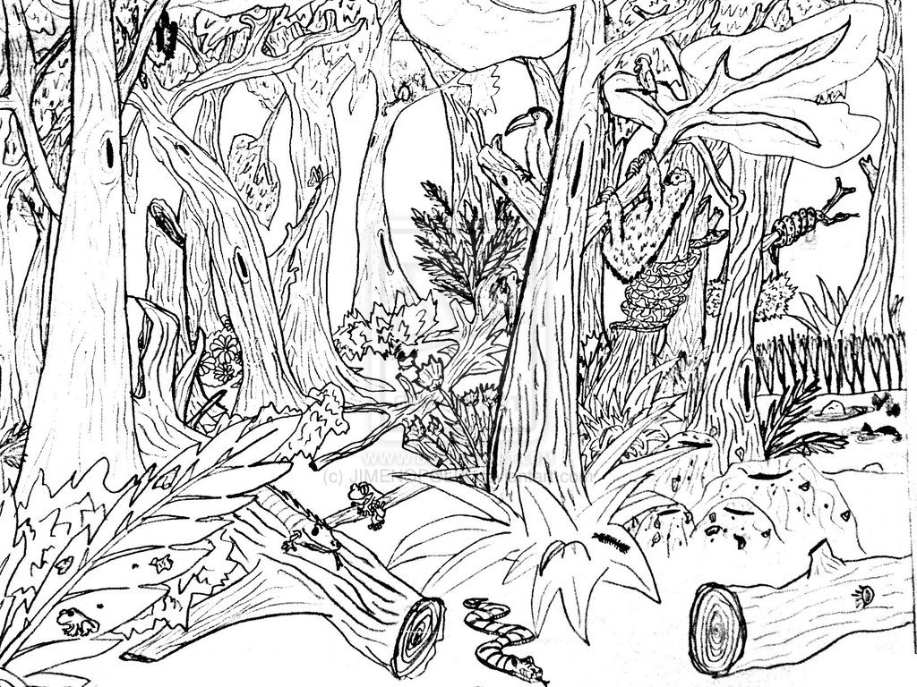 √ Free Printable Nature Coloring Pages For Kids - Free Printable Nature Coloring Pages For Adults