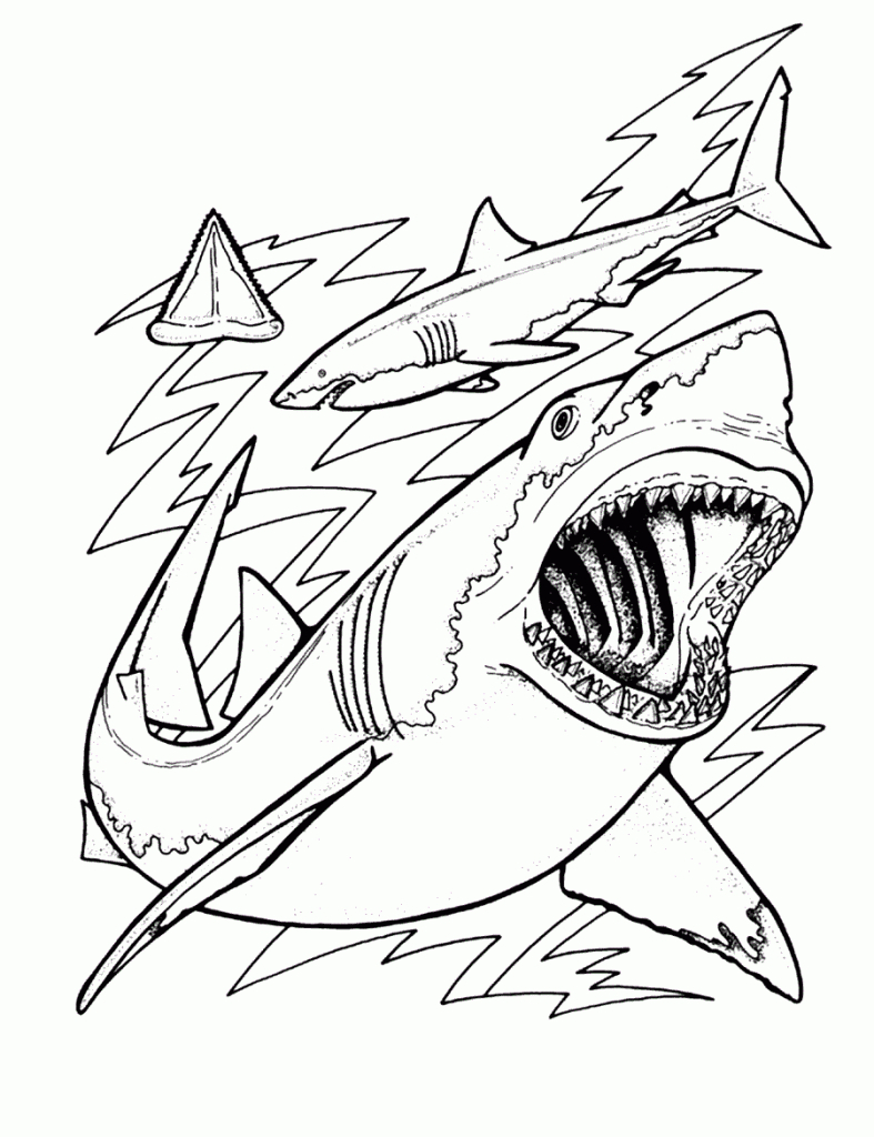 √ Free Printable Shark Coloring Pages For Kids - Free Printable Great White Shark Coloring Pages