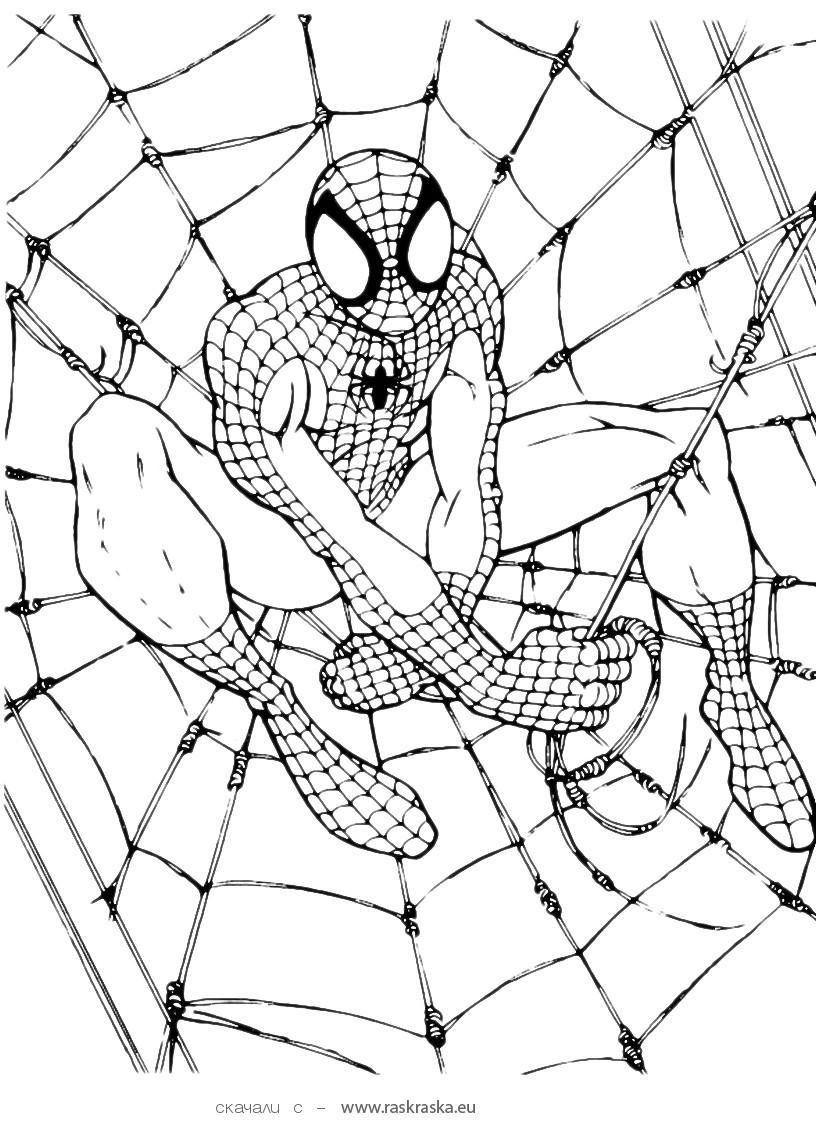 √ Free Printable Spiderman Coloring Pages For Kids - Free Printable Spiderman Coloring Pages