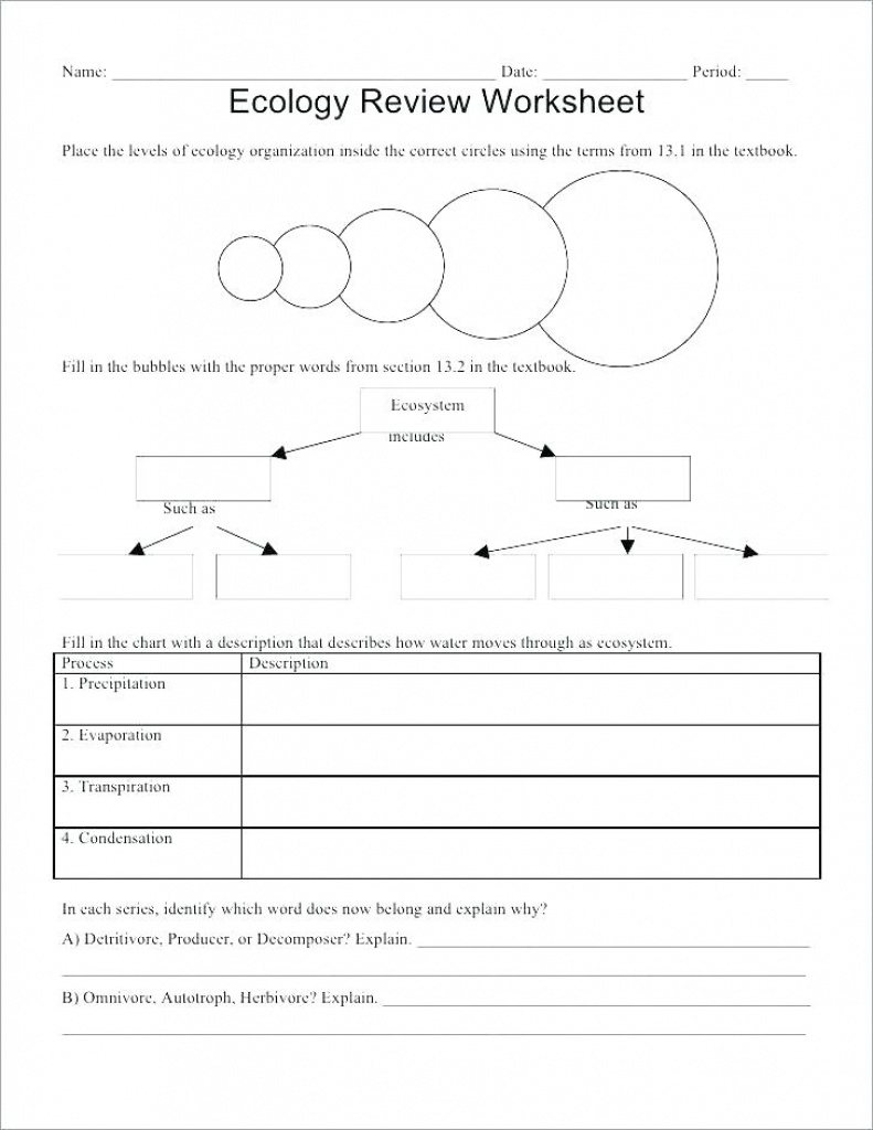 Ecology For Kids Worksheets – Derminelift Regarding Free Printable - Free Printable Biology Worksheets For High School