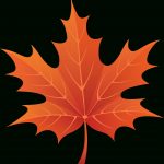 Fall Leaves Autumn Leaves Images Free Yellow Leaves Pictures Clip   Free Printable Pictures Of Autumn Leaves