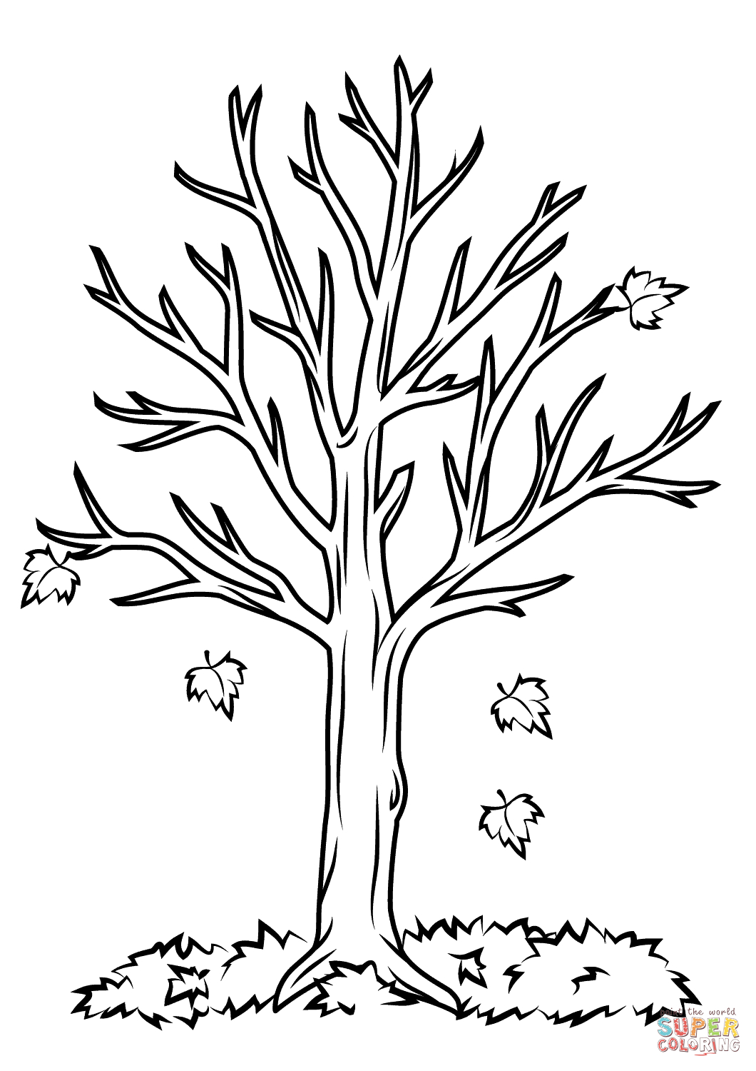 Fall Tree Coloring Page | Free Printable Coloring Pages - Tree Coloring Pages Free Printable