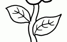 Free Printable Flower Coloring Pages